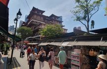 Singapore City Guided Group Tour By Car and Walk