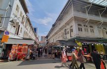 Singapore City Guided Group Tour By Car and Walk