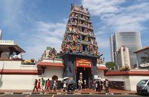 Singapore City Guided Group Tour By Car and Walk