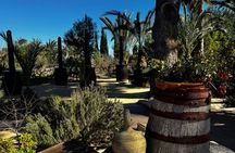 Alicante; Wine Tour Wine Tasting, Food and Transfer