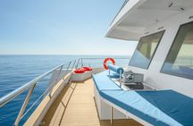 Catamaran Cruise - Excursion in the Gulf of Ajaccio 4H