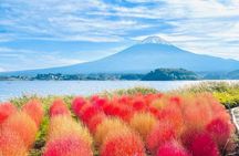 From Tokyo Mt. Fuji Customizable Day Tour With Luxury vehicle 