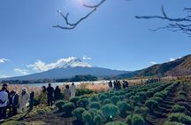 From Tokyo Mt. Fuji Customizable Day Tour With Luxury vehicle 