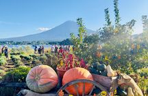 From Tokyo Mt. Fuji Customizable Day Tour With Luxury vehicle 