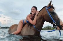 Explore the Desert or Seaside on Horseback In Sharm El Sheikh