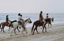 Explore the Desert or Seaside on Horseback In Sharm El Sheikh