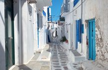 Mykonos 8 Hours Private Tour All Inclusive (Up To 7)