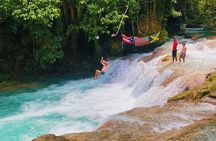 Combo Tour Dunn's River Falls and BlueTour from falmouth