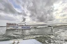 Dolphin Watching aboard the Cold Mil Fleet 
