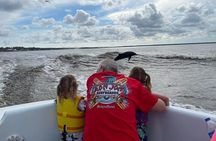 Dolphin Watching aboard the Cold Mil Fleet 