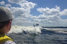 Dolphin Watching aboard the Cold Mil Fleet 