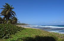 Barbados Paradise Tour with Hotel Transfers