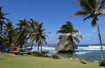 Barbados Paradise Tour with Hotel Transfers