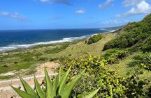 Barbados Paradise Tour with Hotel Transfers