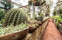 Tour of Magical Towns of Querétaro, starting from Querétaro