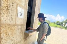 Vergina Royal Tombs & Palace Tour-Expert guide with a BMW car 