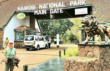 Half Day Tour in Nairobi National Park