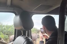 Half Day Tour in Nairobi National Park