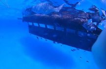 Experience in Seabed in the Semi-Submarine of San Andrés