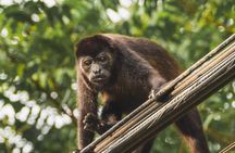 Avellanas Wildlife Walk