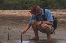 Avellanas Wildlife Walk