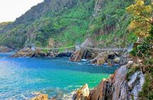 1 Day Garden Route Tour to Tsitsikamma from Port Elizabeth 