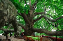 Full Day Bursa Tour with Cable Car & lunch from Istanbul
