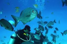 Diving for Beginners among Corals and Statues in San Andres 