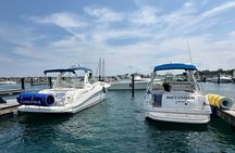 Private Chicago Boat Tour with Captain
