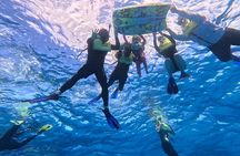 Snorkeling with Turtle/Water Scooter/Paddleboard Adventures Oahu