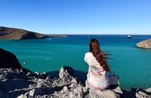 CityTour La Paz, Balandra beach and the Magic Town of Todos Santos
