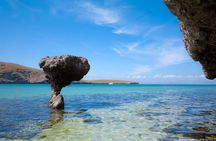 CityTour La Paz, Balandra beach and the Magic Town of Todos Santos