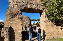 Ancient Rome Discovery: Colosseum, Forum, Palatine Guided Tour