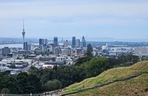 Auckland City Halfday Private Tour