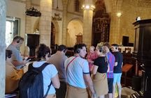 From Punta Cana Tour To Santo Domingo Full Day & Buffet