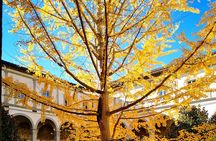 Small Group Medici and Michelangelo Tour in Florence