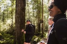 Te Anau Jetboat Experience, Kepler Guided Hike, Transport & Lunch
