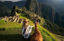 Lima | Ballestas Islands - Machu Picchu - Rainbow Mountain 8 Days