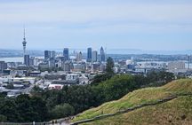 Auckland City Halfday Private Tour