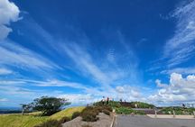 Auckland City Halfday Private Tour