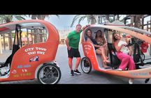 Nice: Visit of Nice by electrically assisted bike taxi 1 hour.