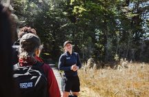 Routeburn Guided Day Hike from Te Anau with Lunch & Transport