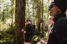 Scenic Helicopter & Kepler Guided Hike from Te Anau with Lunch