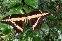 Hike in Gandoca Manzanillo National Wildlife Refuge