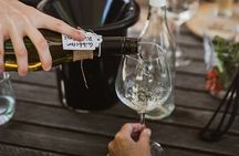 Queenstown: Afternoon Wine & Beer Tour with Platters