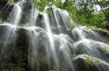 Sumilon Island Experience with Oslob Waterfalls and Whale Sharks