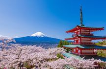 Tokyo: Mt.Fuji & Lake Kawaguchiko 1-Day Bus Tour w/Optional Lunch
