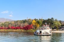Nami Island, Apple Picking, Rail bike & Autumn Light Festival