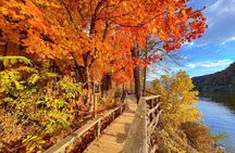 Nami Island, Apple Picking, Rail bike & Autumn Light Festival