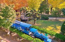 Nami Island, Apple Picking, Rail bike & Autumn Light Festival